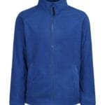 Blue Royal - Up to 4XL