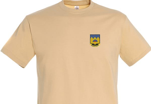Abundance of Strength Embroidered T-Shirt
