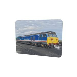 50027 in yard Fridge Magnet