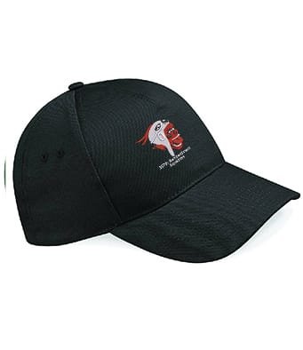 367th Bomb Squad Cap