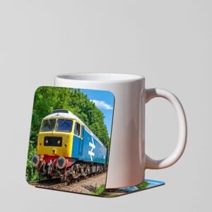 47579 in forest Coaster