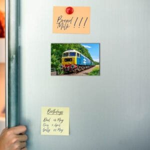 Fridge Magnet