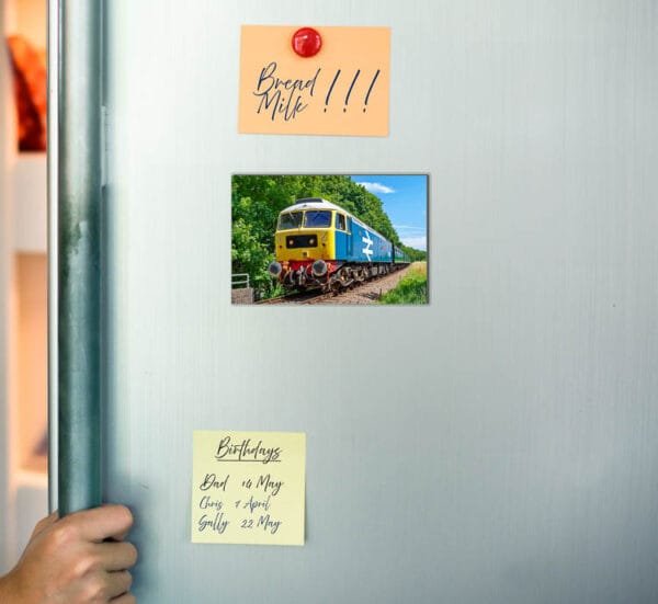 Fridge Magnet