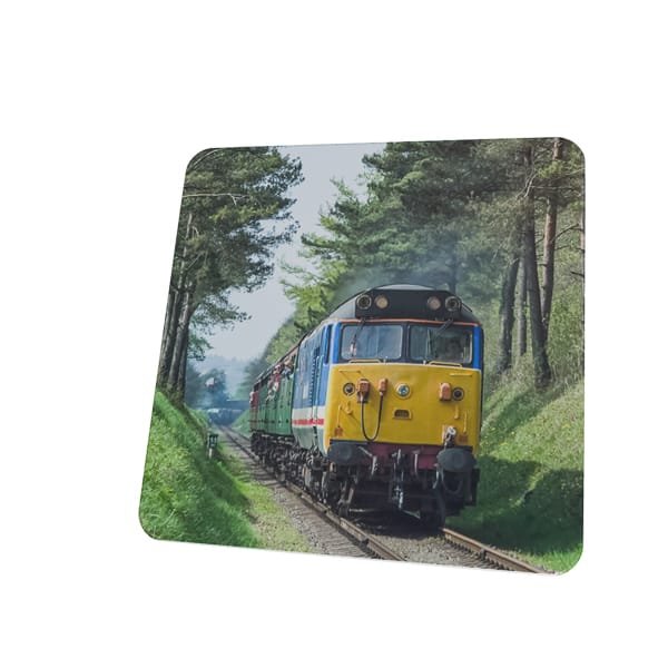 50027 in forest Coaster
