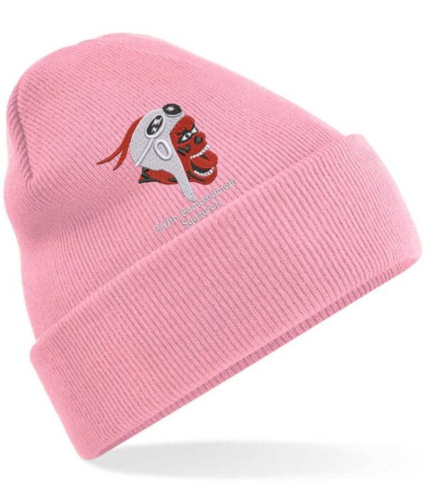 Baby Pink Cuffed Beanie 367 Clothing v8