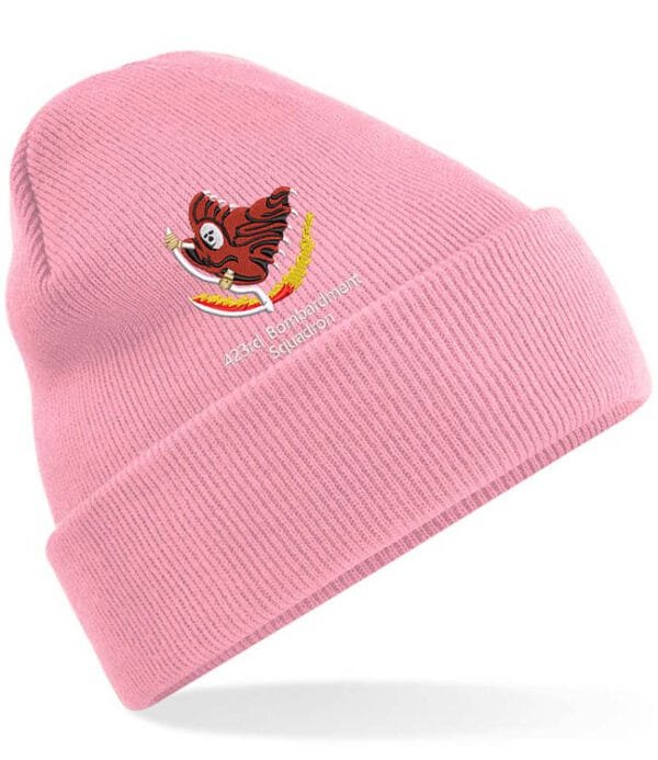 Baby Pink Cuffed Beanie 423 Clothing v10 60