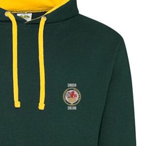 Class 20 Lion and Wheel green gold Hoodie