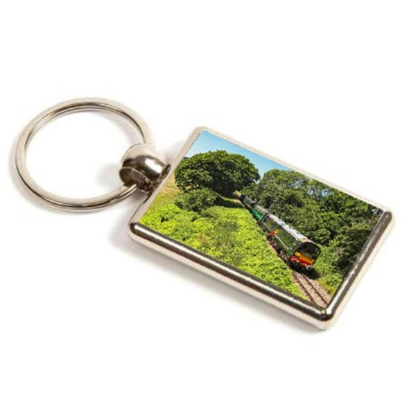 D8059 D8188 in Forest Keyring