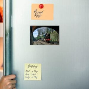 35005 Bridge Fridge Magnet