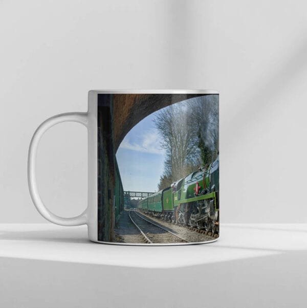 35005 Bridge Mug