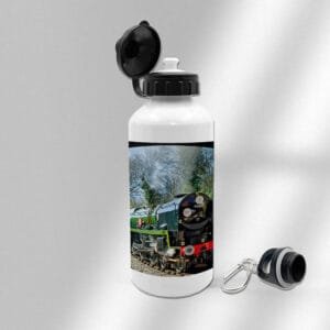 35005 Bridge Standard Printed Water Bottle