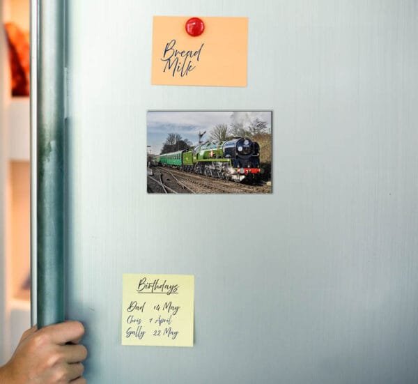 Fridge Magnet