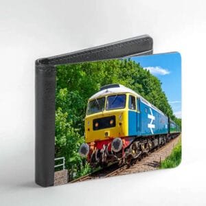 47479 in Forest  Wallet