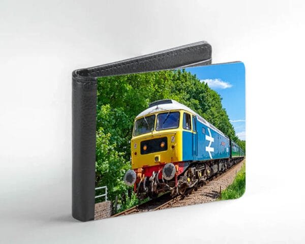 47479 in Forest  Wallet