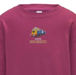 47579 Kids Pink Sweatshirt