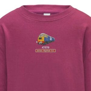 47579 Kids Pink Sweatshirt