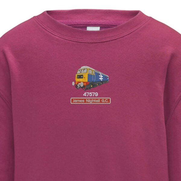 47579 Kids Pink Sweatshirt