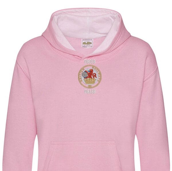 D8059 British Railways Kids Pink Hoodie