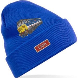 50027 Beanie Hat