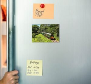 Fridge Magnet Fridge Magnet