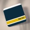 Personalised Livery Coaster